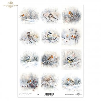 Folia przezroczysta (HS code 39261000) F174