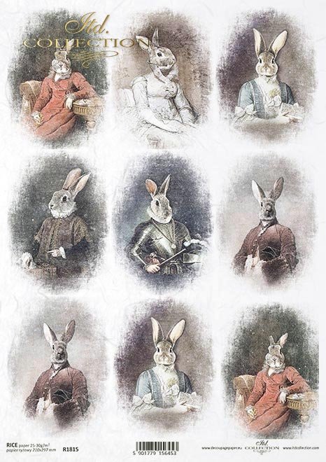 zwierzęta retro, zwierzęta w strojach, zając, zające, król, królowa, admirał, zoomorfizm, stroje historyczne, rosyjska dama, włoski manieryzm,  amerykański portret, francuski szyk, hiszpański admirał, francuska w błękitach*Russian lady, Italian mannerism,