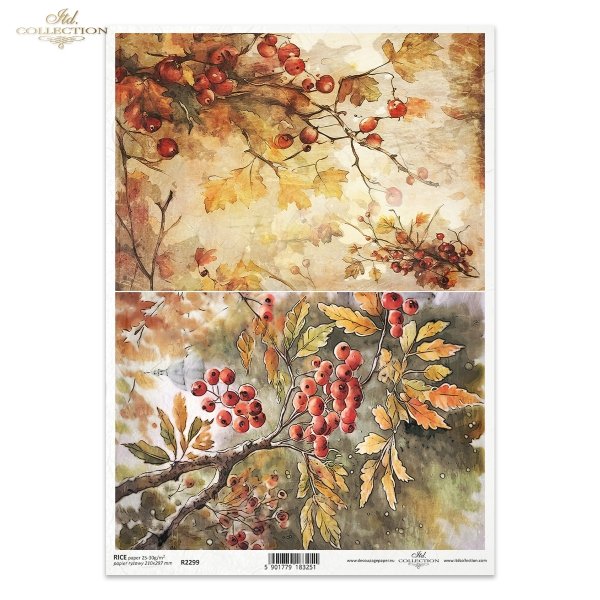 jesień, jesienne widoczki, jarzębina, owoce jarzębiny, liście, kolory jesieni, Autumn Love Story, autumn, autumn views, rowan-tree, rowan berries, leaves, autumn colours, Herbst, Herbstansichten, Vogelbeerbaum, Vogelbeeren, Blätter