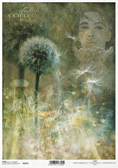  twarz kobiety, rośliny, mniszek* female face, plants, dandelion* Weibliches Gesicht, Pflanzen, Löwenzahn* rostro femenino, plantas, diente de león