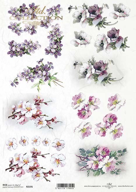 wiosenne kwiaty, kwiaty owocowe, fiołki, mak wschodni*spring flowers, fruit flowers, violets, eastern poppies*Frühlingsblumen, Obstblumen, Veilchen, Klatschmohn*flores de primavera, flores frutales, violetas, amapolas orientales