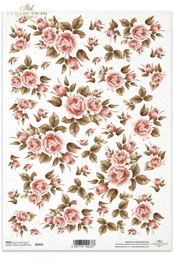 róża, róże, pąki, liście, bukiety, kwiaty, R033, Rose, roses, buds, leaves, bouquets, flowers, flower, Rosa, Blumen, Rosen in Korallenfarbe, rosa, flores, rosas en color coral 