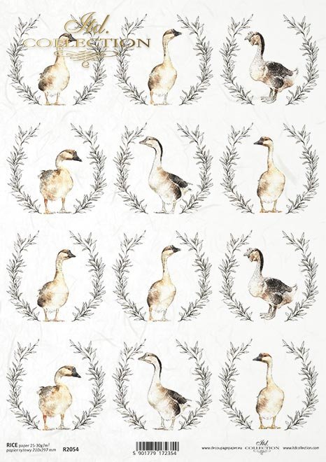 gęsie z roślinnymi wieńcami*geese with floral wreaths*Gänse mit Blumenkränzen*gansos con coronas de flores