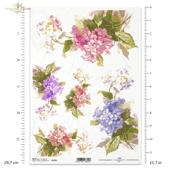 kwiatki, kwiaty, pąki, pączki, liście, listki, hortensja, hortensje, bukiety, ogród, flowers, buds, leaves, hydrangeas, bouquets, garden, Blumen, Knospen, Blätter, Hortensien, Sträuße, Garten, flores, capullos, hojas, hortensias, ramos, jardín