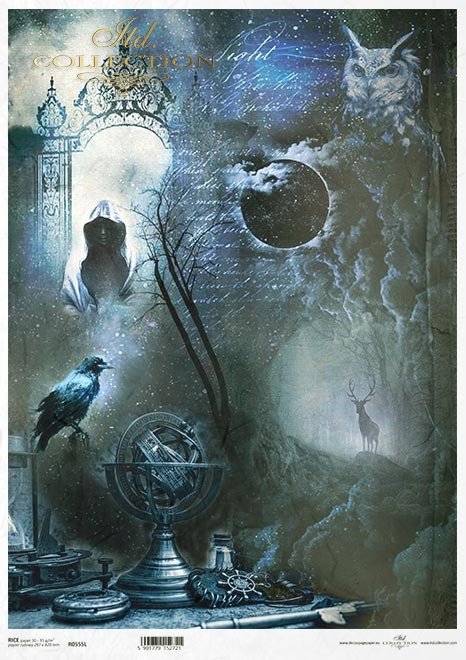 Nieodkryty magiczny świat - Alchemia, globus, Kruk, ptak, mgła, las, sowa, zaćmienie, księżyc, drzewo, napisy, jeleń, brama, zakapturzona postać, niebo, galaktyka, tajemnica...