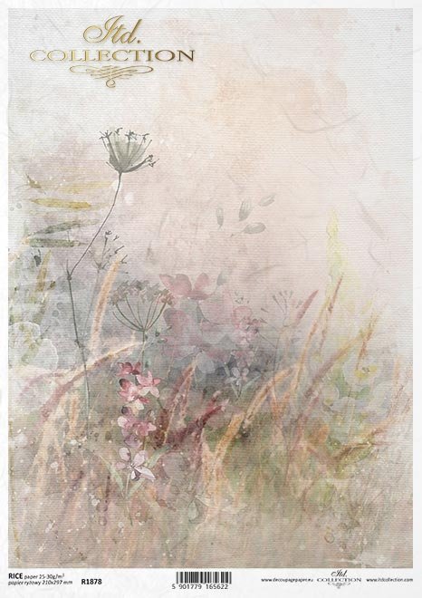 trawy, kwiaty polne, akwarela*grasses, field flowers, watercolour*Gräser, Feldblumen, Aquarell*hierbas, flores de campo, acuarela