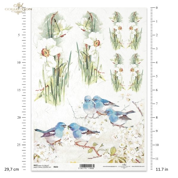 kwiat, biały żonkil, niebieski ptak, ptaszki, kwitnące gałązki, gałęzie w kwiatach, wiosna, R653, flower, white daffodil, blue bird, birds, blooming twigs, branches in blossom, spring, Blume, weiße Narzisse, blauer Vogel, Vögel, blühende Zweige, blühende 