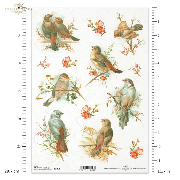 wiosna, ptak, ptaszek, ptaszki, kwiat, gałązka, gałązki, kwitnące, kwitnąca, spring, bird, flower, twig, flowering, Frühling, Vogel, Blume, Zweig, Blüte, primavera, pájaro, flor, ramita, floración 