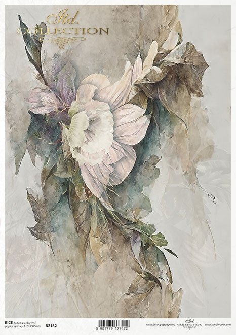 motywy roślinne, motywy kwiatowe, tło, tapeta, kolaż, rośliny, kwiaty*floral motifs, floral motifs, background, wallpaper, collage, plants, flowers*blumenmotive, blumenmotive, hintergrund, wallpaper, collage, pflanzen, blumen*motivos florales, motivos flo