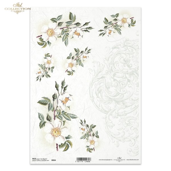 dekor, ornament, dzika róża, róże, ogród, kwiat, wiosna, R834, decor, ornament, wild rose, roses, garden, flower, spring, Dekor, Ornament, Wildrose, Rosen, Garten, Blume, Frühling, decoración, ornamento, rosa silvestre, rosas, jardín, flor, primavera