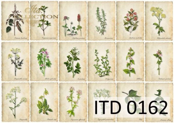 Papier decoupage (HS code 48025700) D0162M