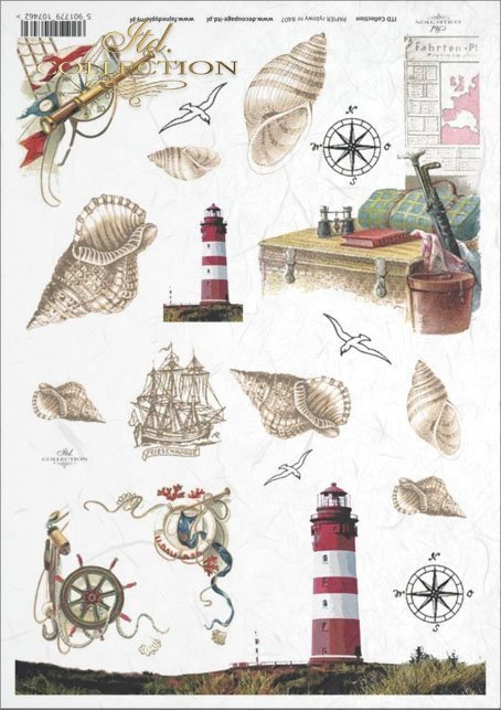 shell, shells, seashell, seashells, lighthouse, sea, wind rose, steering wheel, sailing ship, travel, holiday, R407