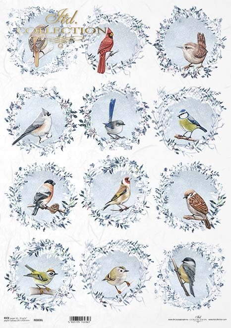 mrozem malowane, wieńce z ptakami, mysikrólik, zniczek, kardynał, sikorka, pleszka, szczygieł, gil, wróbel*decorated with frost, wreaths with birds, goldcrest, firecrest, redbird, titmouse, redstart, goldfinch, bullfinch, sparrow