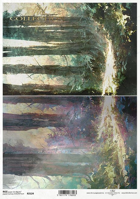 Seria - Mysterious forest - tajemniczy las, drzewa, lasy, rośliny*Series - Mysterious forest - trees, woods, plants*Serie - Mysteriöser Wald - geheimnisvoller Wald, Bäume, Wälder, Pflanzen*Serie - Bosque misterioso - árboles, bosques, plantas