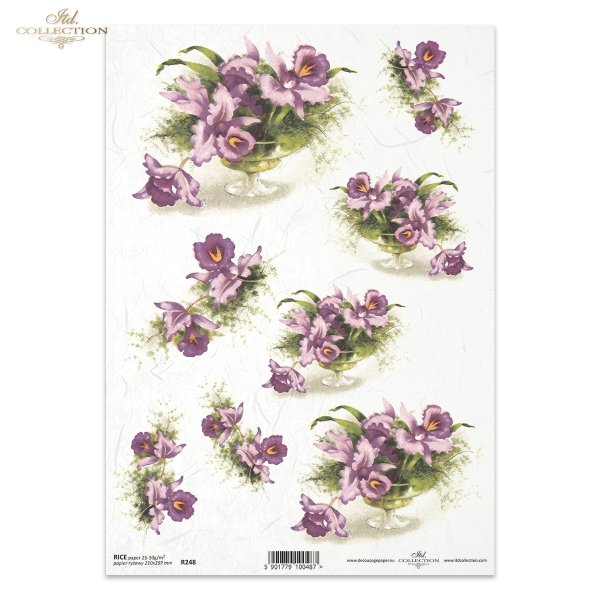 flower, orchids, flowers of orchids