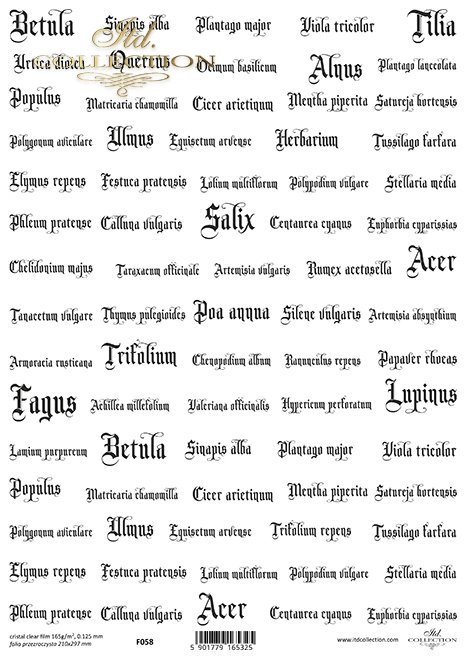 zioła, napisy*herbs, inscriptions*Kräuter, Inschriften*hierbas, inscripciones