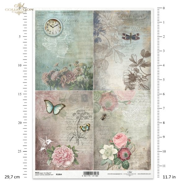 insect, bird, flower, peony, inscription, Post Card, handwriting, hummingbird, butterfly, background, dragonfly, bee, note, clock, rose, newspaper, Insekt, Vogel, Blume, Pfingstrose, Inschrift, Postkarte, Handschrift, Kolibri,