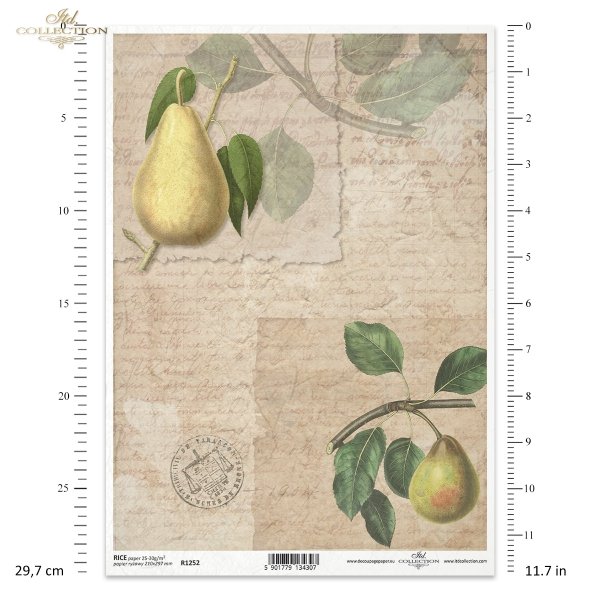pears, fruit, twig, leaves, old inscriptions, retro, handwriting, old paper, letter, background, Birnen, Frucht, Zweig, Blätter, alte Inschriften, Retro, Handschrift, altes Papier, Brief, Hintergrund, pera, peras, fruta, ramita
