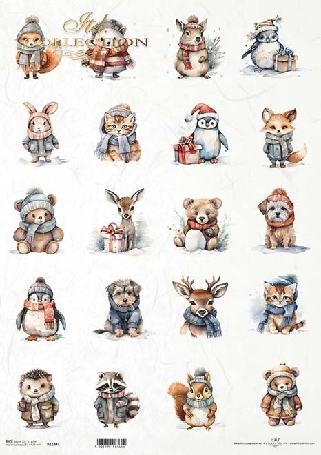 zwierzaki w zimowych strojach*pets in winter outfits*Haustiere im Winteroutfit*mascotas con ropa de invierno