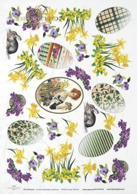 rabbit, rabbits, bunn, bunnies, Easter, spring, flower, flowers, daffodil, daffodils, egg, eggs, R072