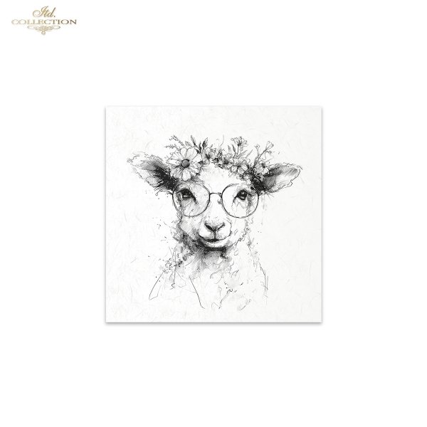 Reispapier Satz RSM252