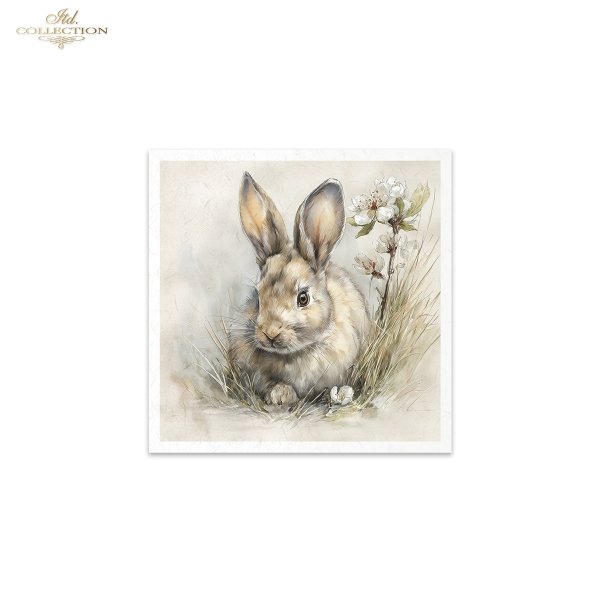 Reispapier Satz RSM243