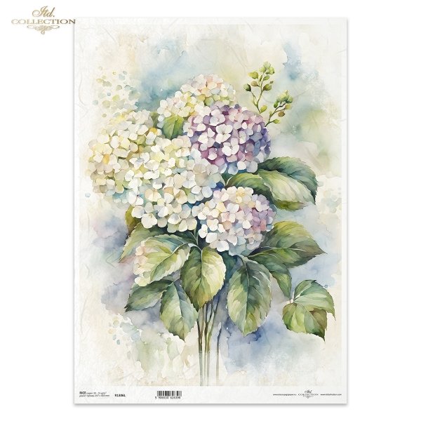 letnie kwiaty, bukiet kwiataów*Summer flowers, flower bouquet*Sommerblumen, Blumenstrauß*Flores de verano, ramo de flores 