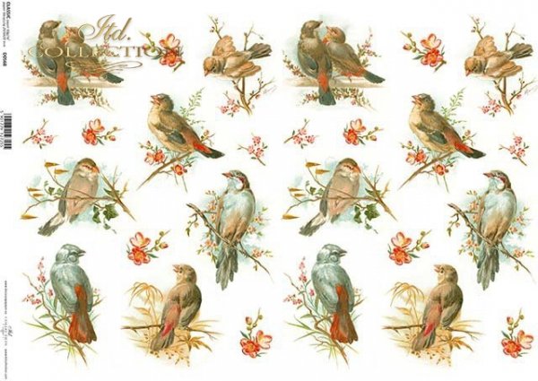 Decoupage papírové ptáci*Pájaros de papel decoupage*Decoupage Papier Vögel