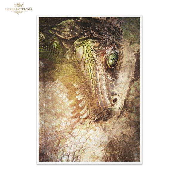 Papier morwowy decoupage FPA3025 seria „An undiscovered magical world” – Nieodkryty magiczny świat * Mulberry decoupage paper FPA3025 „An undiscovered magical world” * Maulbeerpapier für Decoupage FPA3025 – Unentdeckte magische Welt * Papel decoupage more