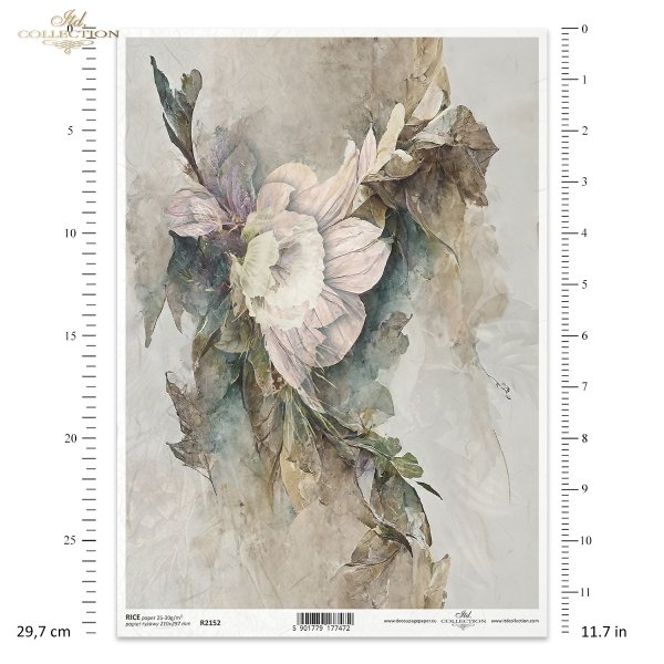 motywy roślinne, motywy kwiatowe, tło, tapeta, kolaż, rośliny, kwiat, kwiaty, bukiet, floral motifs, flower motifs, background, wallpaper, collage, plants, flower, flowers, bouquet, Blumenmotive, Hintergrund, Wallpaper, Collage, Pflanzen