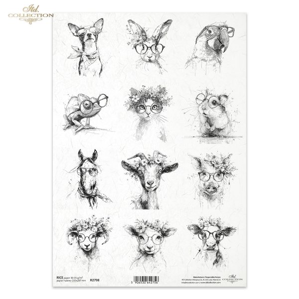 zwierzęta, okulary, kapelusze, wianki, czarno-białe, szkic, tusz, hipster, ilustracja, plakat, nowoczesny, grafika, portret, struś, kaczka, kogut, kura, sowa, alpaka, hipopotam, żyrafa, małpa, pingwin, nosorożec*animals, glasses, hats, wreaths, black and 