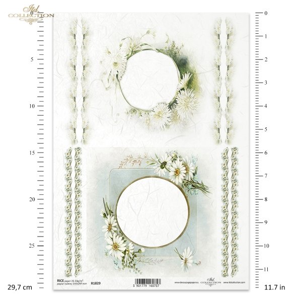 ramki, szlaczki, dekory, stokrotki, kwiaty astry, aster chiński, białe kwiaty, wiosna, Frames, stencils, decors, daisies, asters flowers, Chinese asters, white flowers, spring, Bordüren, Dekore, Gänseblümchen, Blumen Astern