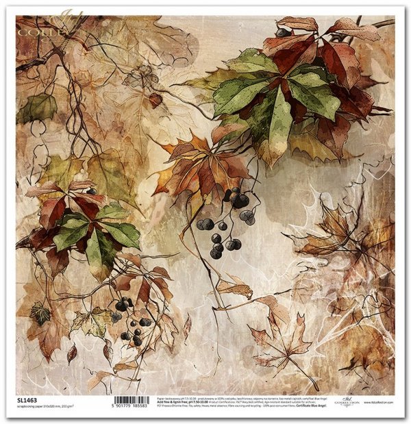 jesienne widoczki, rośliny, winobluszcz, jesień, liście*autumn views, plants, ivy, autumn, leaves*Herbstansichten, Pflanzen, Efeu, Herbst, Blätter*vistas de otoño, plantas, hiedra, otoño, hojas
