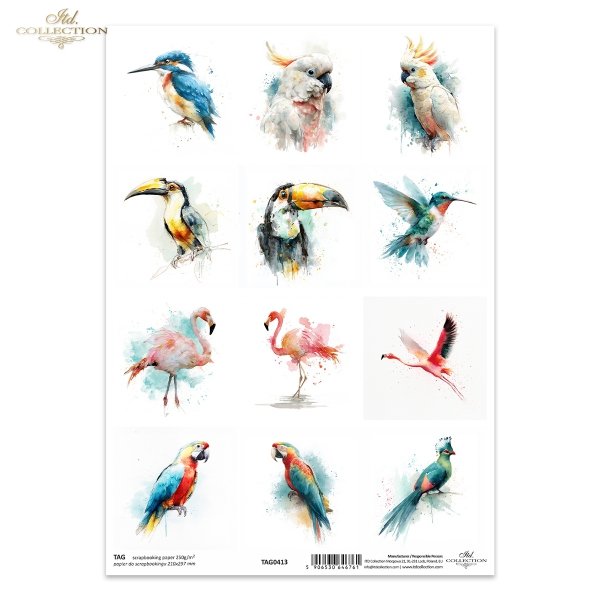 zimorodek, kakadu, tukan, koliber, akwarela, flaming, papuga, turako*kingfisher, cockatoo, toucan, hummingbird, watercolor, flamingo, parrot, turaco