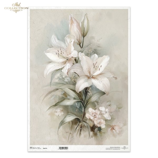 Reispapier A3 für Decoupage R1677L