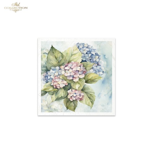 letnie kwiaty, bukiet kwiatów*Summer flowers, flower bouquet*Sommerblumen, Blumenstrauß*Flores de verano, ramo de flores 