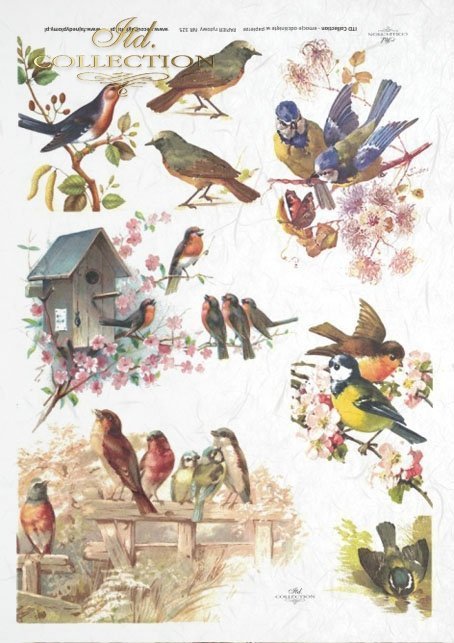 spring, flowers, birdhouse, bird, tits, birds
