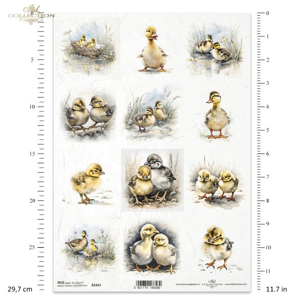 zwierzęta, wieś, kaczka, kaczki, kaczuszka, kaczuszki, kaczorek, kaczorki, drób, Early Spring, animals, countryside, duck, ducklings, poultry, Tiere, Landleben, Ente, Entenküken, Geflügel, Vorfrühling, animales, campo, pato, patitos