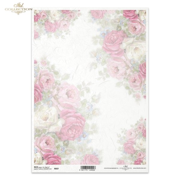  róża, róże, ogród, kwiat, wiosna, lato, pastel, R837, rose, garden, flower, spring, summer, pastel, Rose, Rosen, Garten, Blume, Frühling, Sommer, Pastell, rosa, rosas, jardín, flor, primavera, verano, pastel 