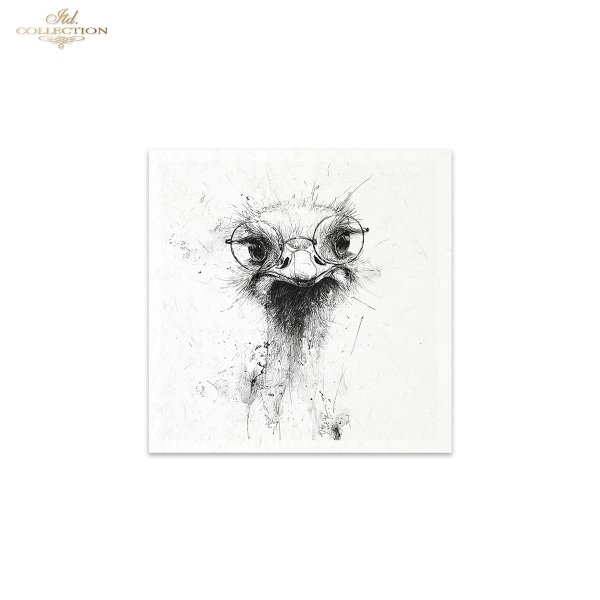 Reispapier Satz RSM253