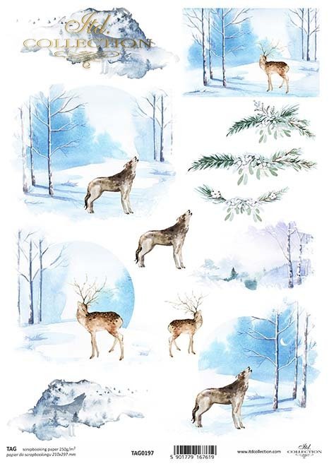 zimowe widoczki z młodym jeleniem i wilkiem*winter views with a young deer and a wolf*Winteransichten mit einem jungen Reh und einem Wolf*vistas invernales con un ciervo joven y un lobo