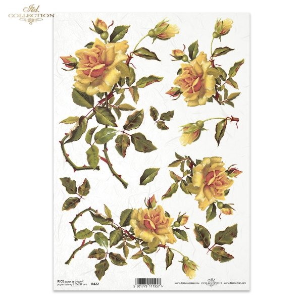 rose, roses, flower, flowers, bouquet, bouquets, R422