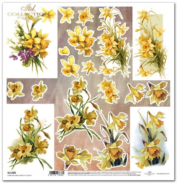 wiosenne impresje, żonkile, wiosenne kwiaty*daffodils, spring flowers*Narzissen, Frühlingsblumen*narcisos, flores de primavera