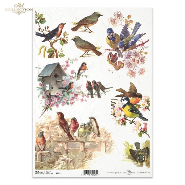 spring, flowers, birdhouse, bird, tits, birds