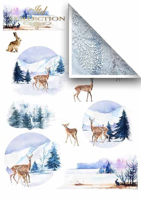 Papiery do scrapbookingu w zestawach - zimowe zwierzęta*Papiere für das Scrapbooking in den Sätzen - Wintertiere