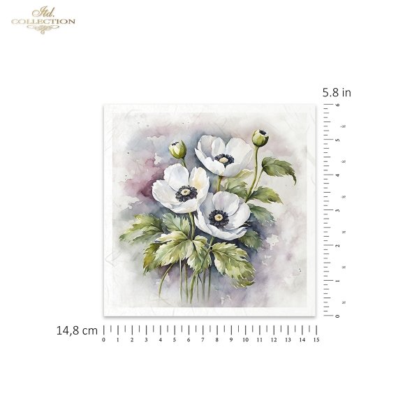 letnie kwiaty, bukiet kwiatów*Summer flowers, flower bouquet*Sommerblumen, Blumenstrauß*Flores de verano, ramo de flores 