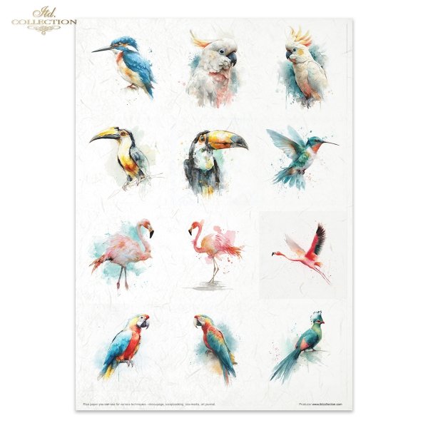 Creative Set RP106 Tropical Dreams vol. 2