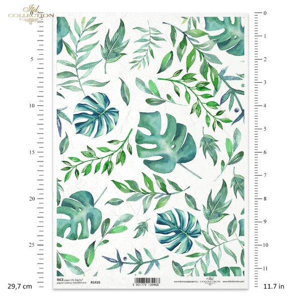 zielono-niebieskie, zielone, liść, liście, monstera, monstery, filodendron, filodendrony, green-blue, green, leaf, leaves, monstera, philodendrons, grün-blau, grün, Blatt, Blätter, Monstera, Philodendrons, verde-azul, verde