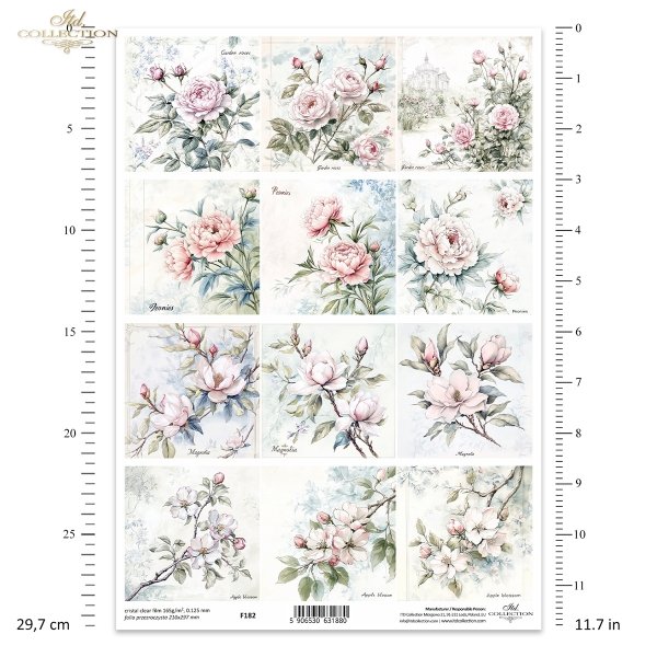 roze, peonie, kwiaty jabloni, magnolia*flowers, roses, peonies, apple blossoms, magnolia*Blumen, Rosen, Pfingstrosen, Apfelblüten, Magnolien*flores, rosas, peonías, manzanos en flor, magnolias