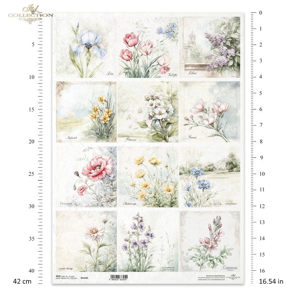 kwiaty, mak, jaskier, chaber, złocień łąkowy, rzeżucha łąkowa, dymnica pospolita, Irys, tulipan, bez, lilak, narcyz, prymulka, frezja*flowers, poppy, ranunculus, cornflower, meadow goldenrod, meadow cress, common cress, iris, tulip, lilac, narcissus